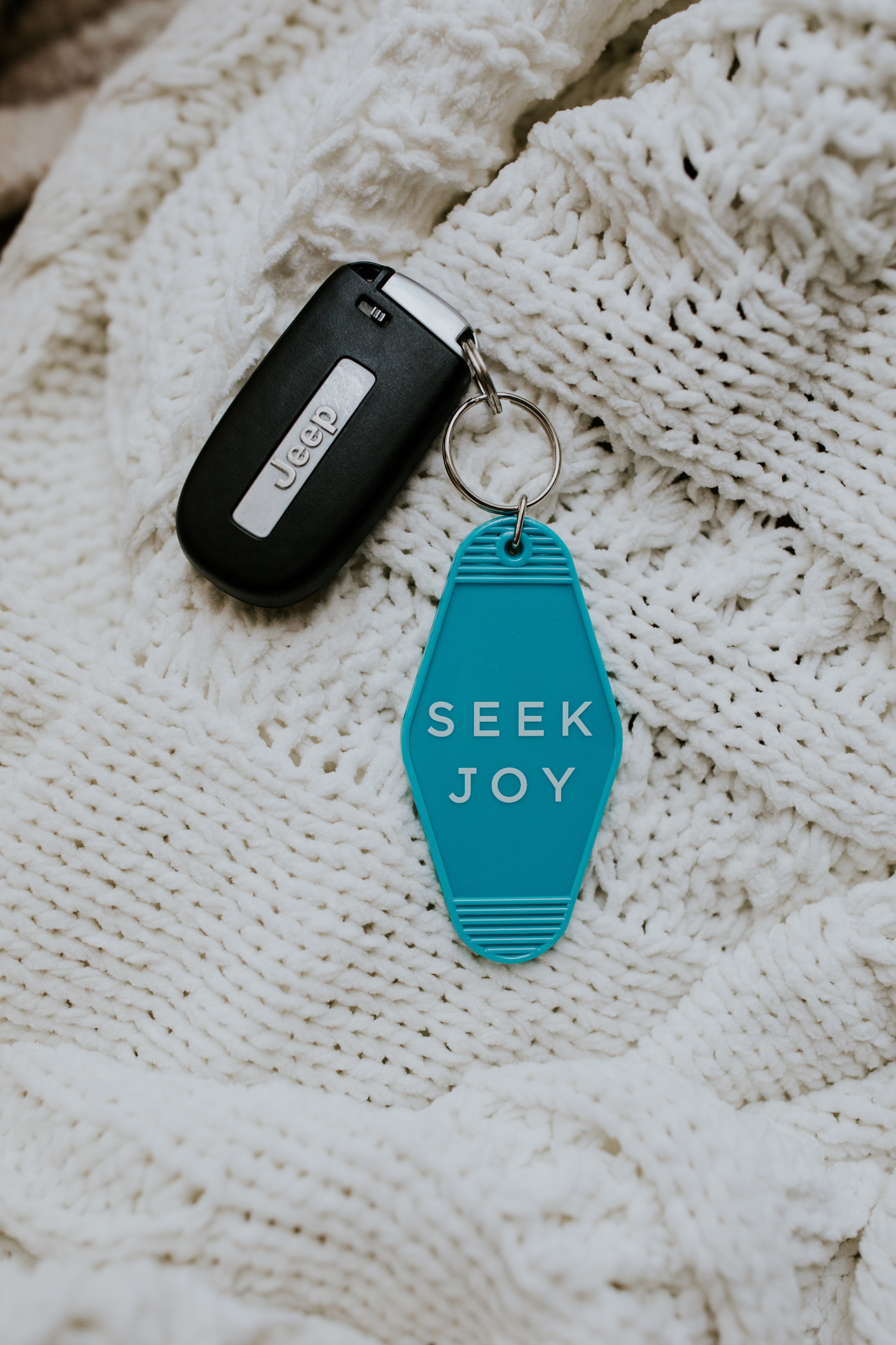 SEEK JOY Keychain