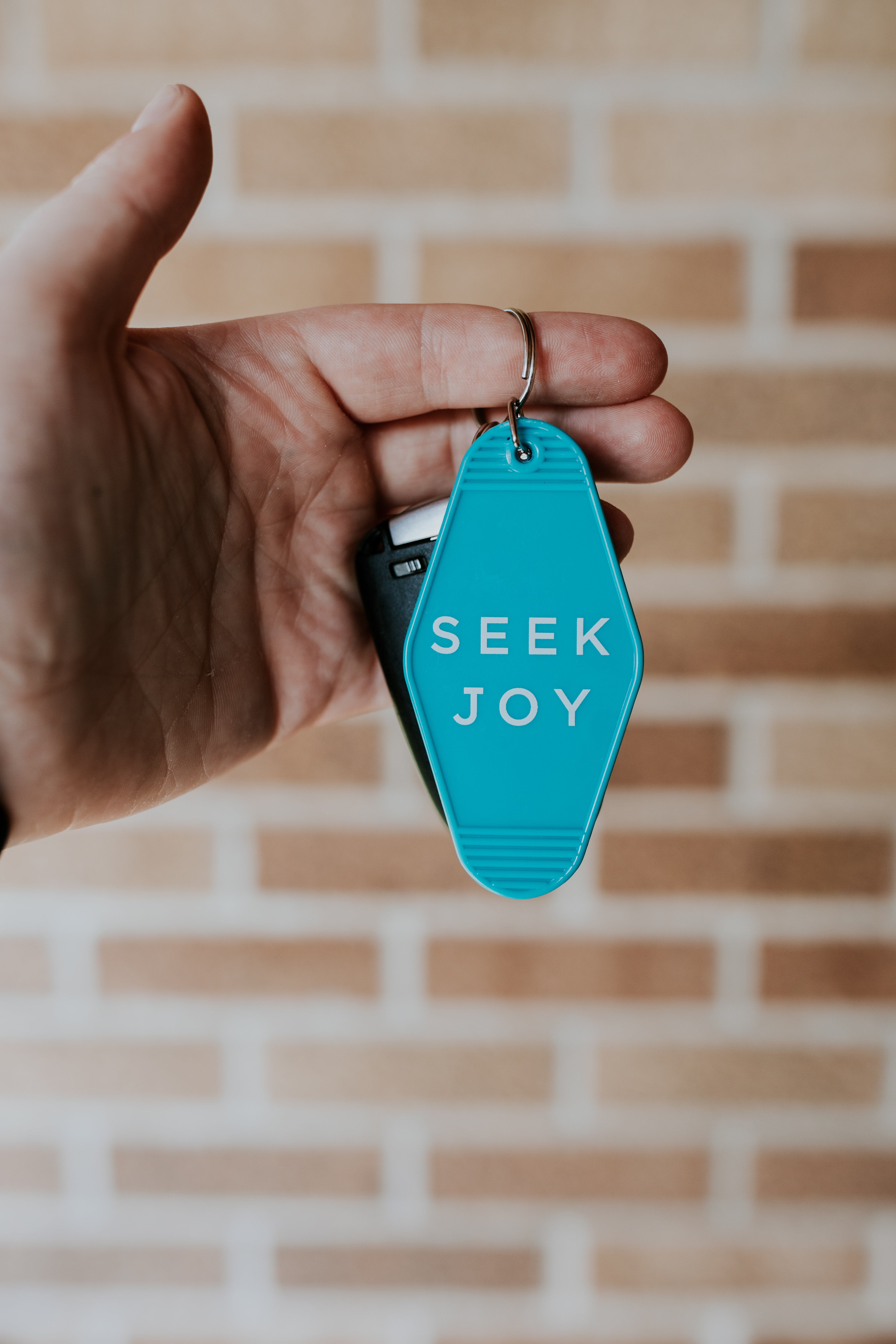 SEEK JOY Keychain